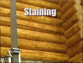  Mozelle, Kentucky Log Home Staining